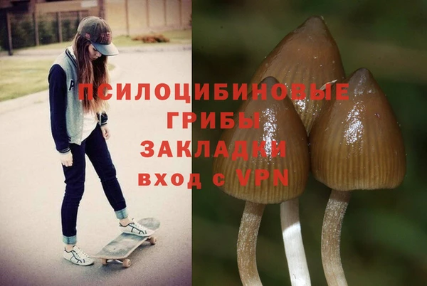 кокаин премиум Каменка